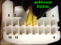 Rear of 16-pin plug with pin numbers